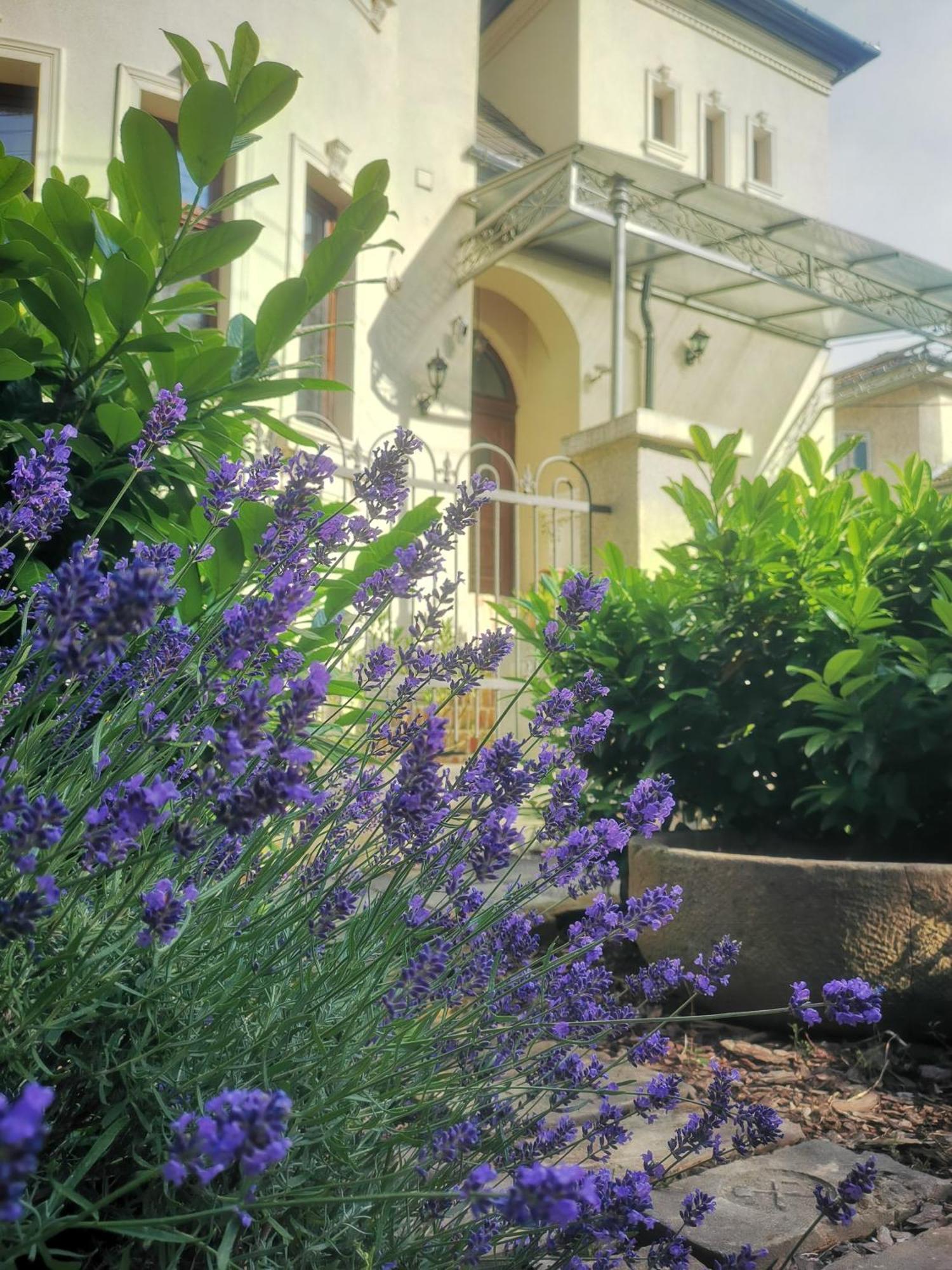 Kuria Apartman Budapest With Free Parking מראה חיצוני תמונה