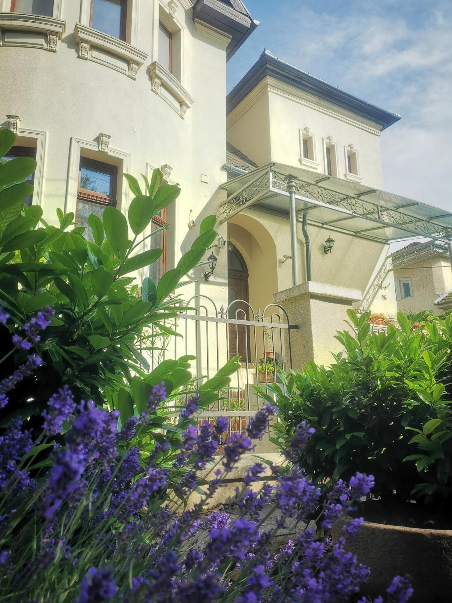 Kuria Apartman Budapest With Free Parking מראה חיצוני תמונה