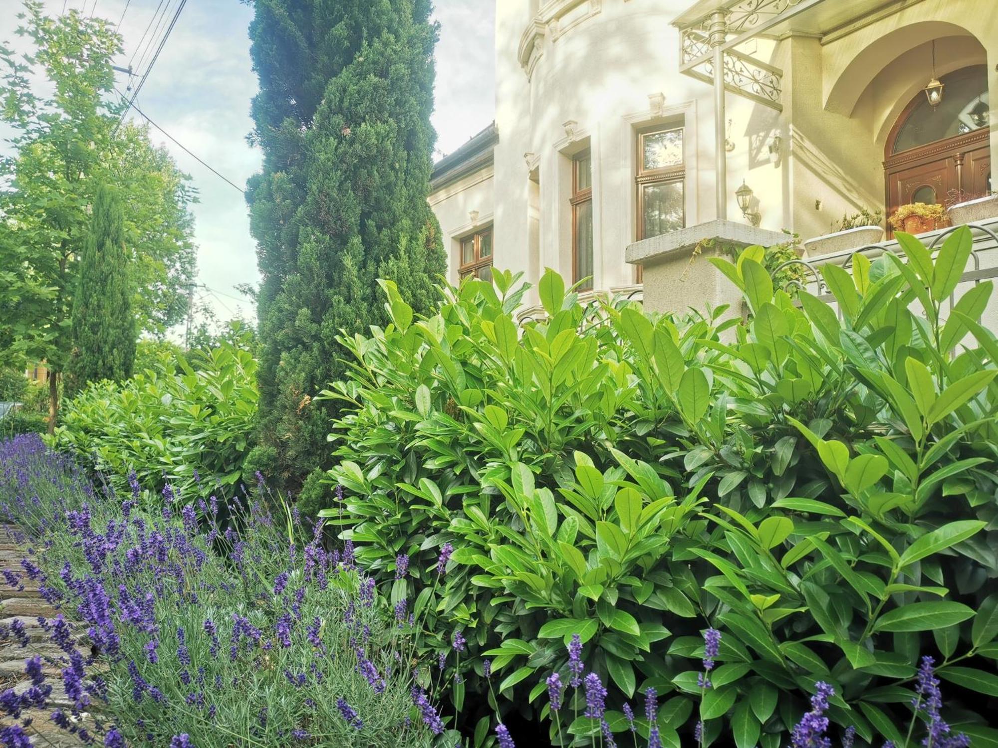 Kuria Apartman Budapest With Free Parking מראה חיצוני תמונה
